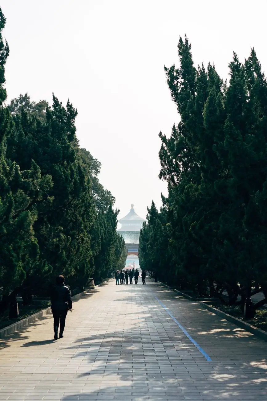 煤矿工业设备配套方案：采样机在皮带输送系统中的应用